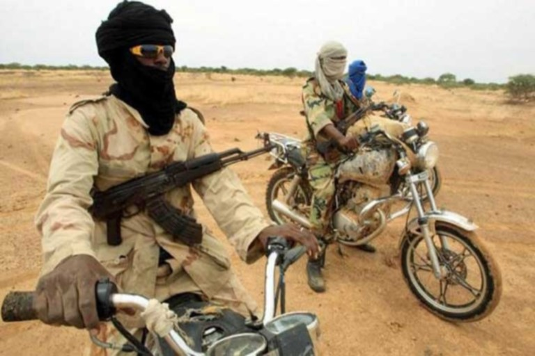 Victims Report Kidnappers' Use Of Poisonous Snakes To Terrorize Them