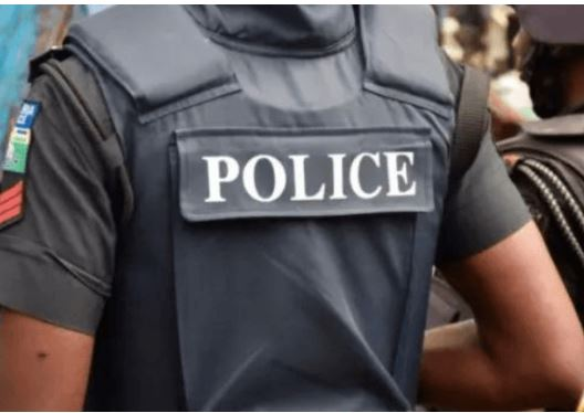 State Police Critical To Addressing Insecurity, Says Cso