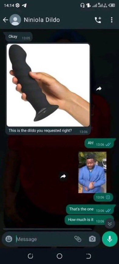 Leaked conversation between Dildo vendor and a customer