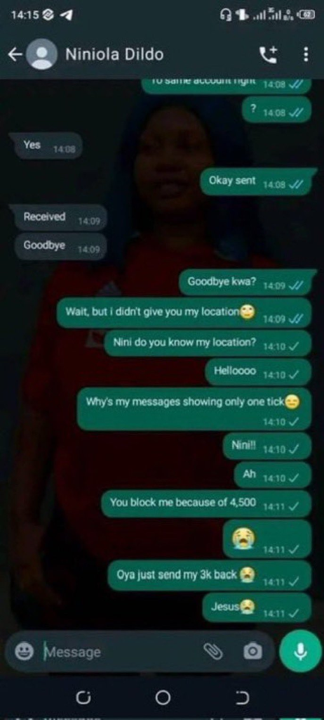 Leaked conversation between Dildo vendor and a customer