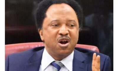 Shehu Sani Responds To Reports Of Tinubu Administration’s Plan To Borrow $618M For Fighter Jets