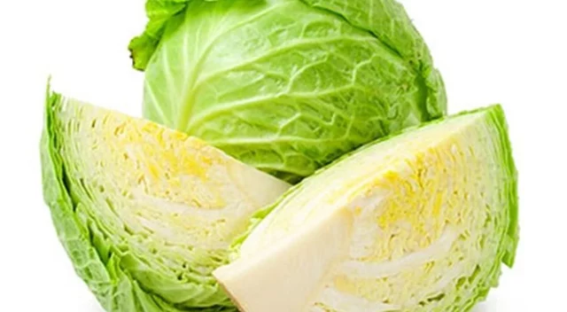 Cabbage Health Benefits: Reasons To Add More To Your Diet