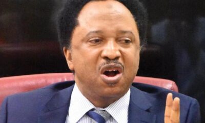 Shehu Sani Mocks Nigerian Government For Claiming To Lift 25 Million From Poverty With N25,000