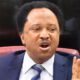 Shehu Sani Mocks Nigerian Government For Claiming To Lift 25 Million From Poverty With N25,000