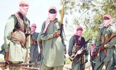 &Quot;Bandits Kill 10 Farmers, Including Chinese National, In Brutal Attack In Niger State&Quot;