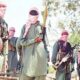 &Quot;Bandits Kill 10 Farmers, Including Chinese National, In Brutal Attack In Niger State&Quot;