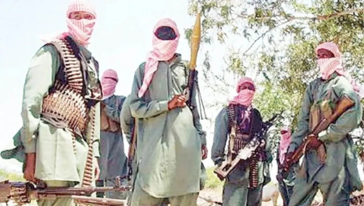 &Quot;Bandits Kill 10 Farmers, Including Chinese National, In Brutal Attack In Niger State&Quot;