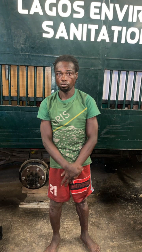 Man Caught Tampering with Jibowu Bridge Bolts and Nuts Sentenced to Four Months in Prison