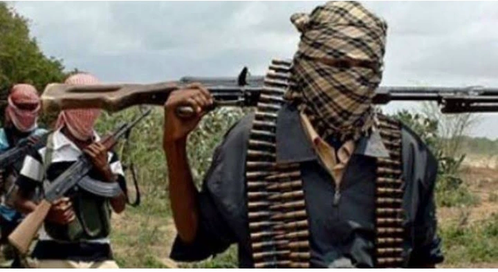 New Terror Group Lakurawa Strikes in Kebbi, Killing 15 and Stealing 100 Cows