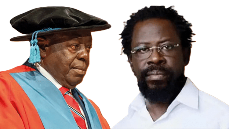 Court Halts Sale Of Dele Farotimi’s Book, Orders Seizure Over Defamation Claims