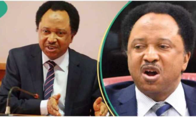 Shehu Sani Criticizes Northern Senators for Ineffectiveness on Tinubu’s Tax Reform Bills: “They’re Just Rambling”