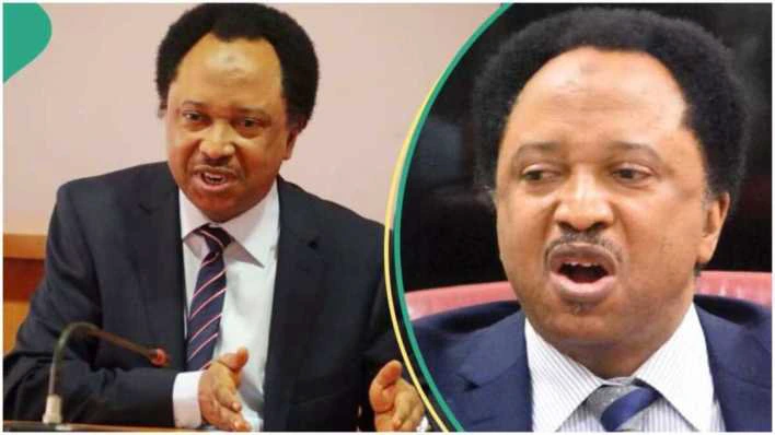 Shehu Sani Criticizes Northern Senators for Ineffectiveness on Tinubu’s Tax Reform Bills: “They’re Just Rambling”