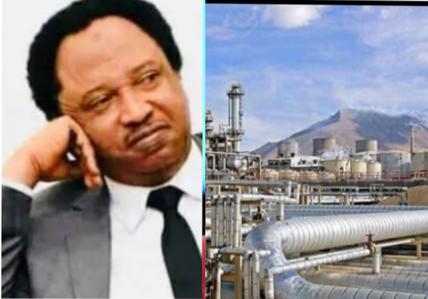 Reactions Trail Shehu Sani'S Comment After Hearing That Warri Refinery Has Commenced Operation