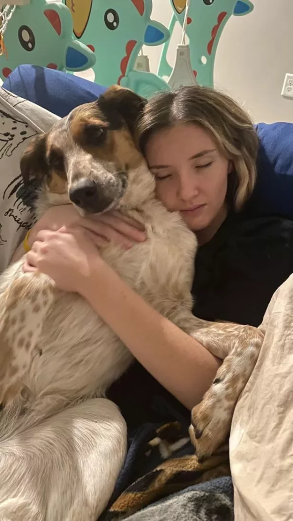 'Perfect' dog turned into 'aggressive' savage ripping mum's nose off – she has theory why