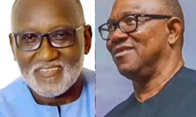 Oseloka Obaze Addresses Viral Claims Of Dss Arresting Peter Obi At His Abuja Residence