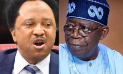 Reactions Emerge After Shehu Sani Comments On Tinubu'S Ban On Transgender, Lgbtq Military Activities