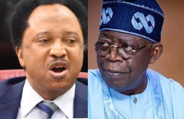 Reactions Emerge After Shehu Sani Comments On Tinubu'S Ban On Transgender, Lgbtq Military Activities