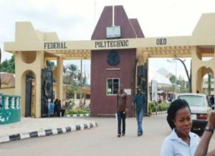 Comprehensive List And Guide To Accredited Federal Polytechnics In Nigeria