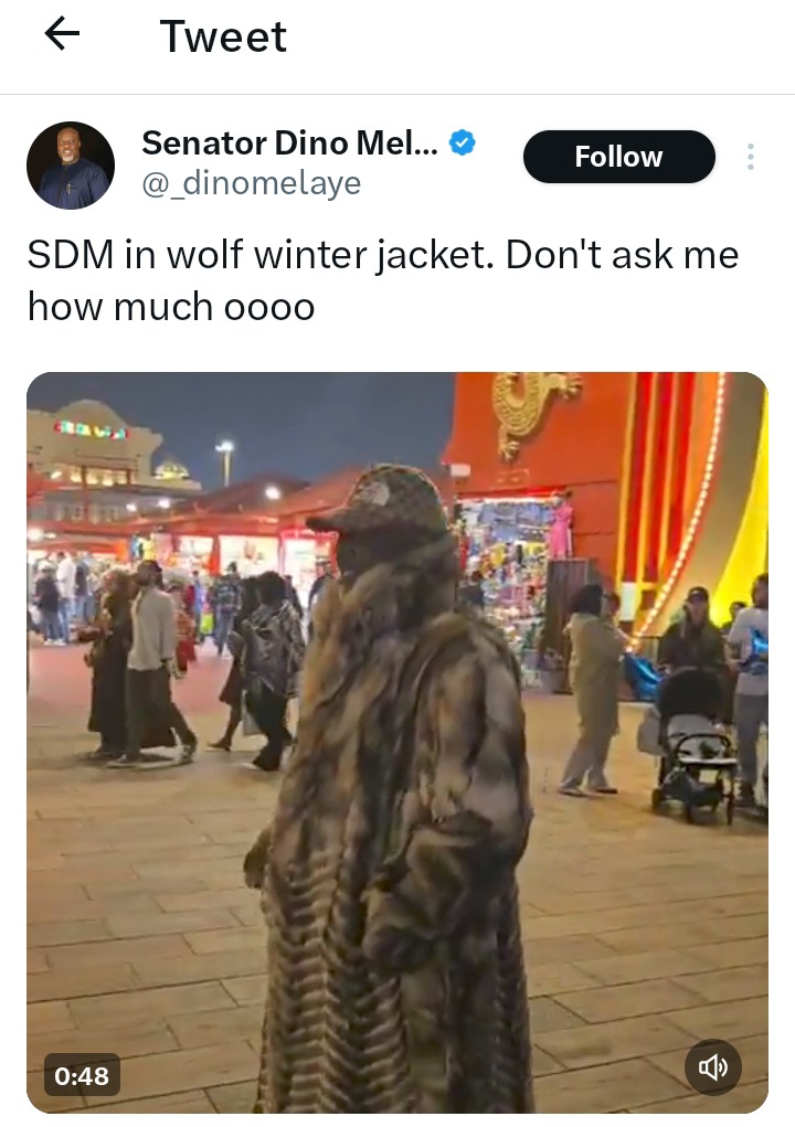 Senator Dino Melaye Sparks Reactions with 'Wolf Jacket' Video from Dubai