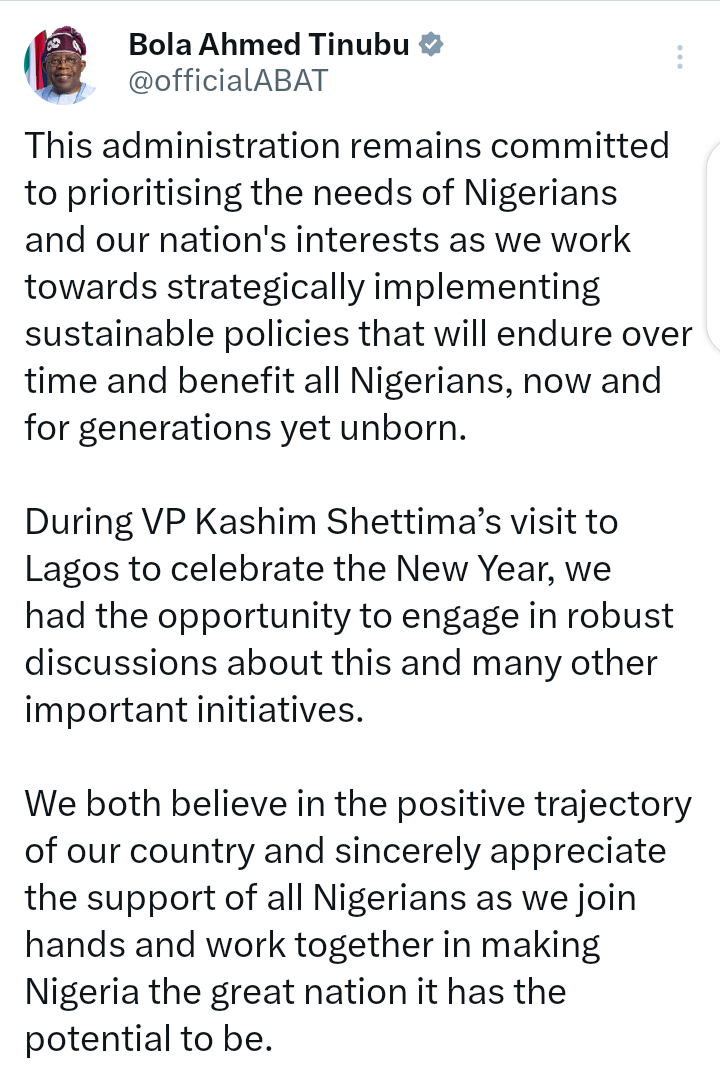 Reactions After Photo Of President Tinubu And Kashim Shettima Holding A Meeting In Lagos Surfaced