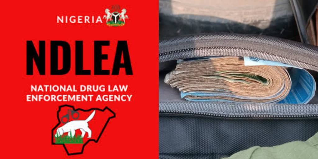 NDLEA Allegedly Extorts ₦150K from Corps Member Over Pain Medication Arrest