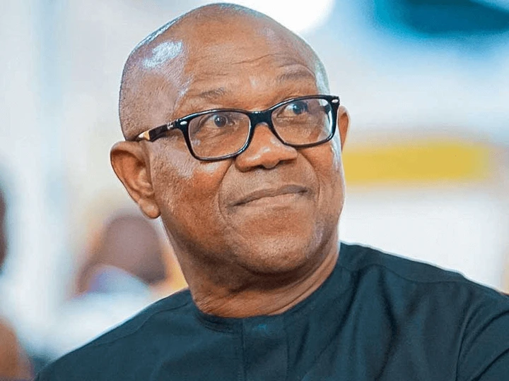 2027 Presidency: Peter Obi Unlikely to Run Under Labour Party – Ozigbo