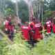 NDLEA Nabs 75-Year-Old Man for Drug Trafficking in Kano