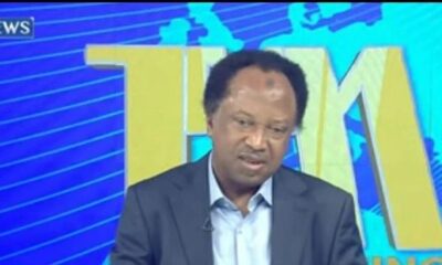 2027 Elections: Shehu Sani Urges Northern Candidates To Step Aside For Peter Obi