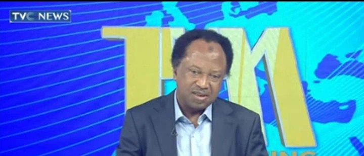 2027 Elections: Shehu Sani Urges Northern Candidates To Step Aside For Peter Obi