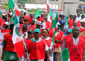 Niger State Nlc Slams Inflation, Unpaid Wages, And Poor Labour Conditions On May Day