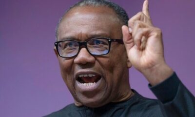 Peter Obi Should Lead Opposition Coalition For 2027, Says Chief Ameh
