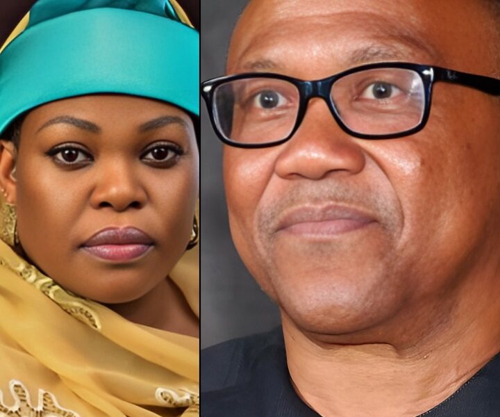 2027: Peter Obi Stands Taller Than Other Politicians — Nana Sani Kazaure Declares