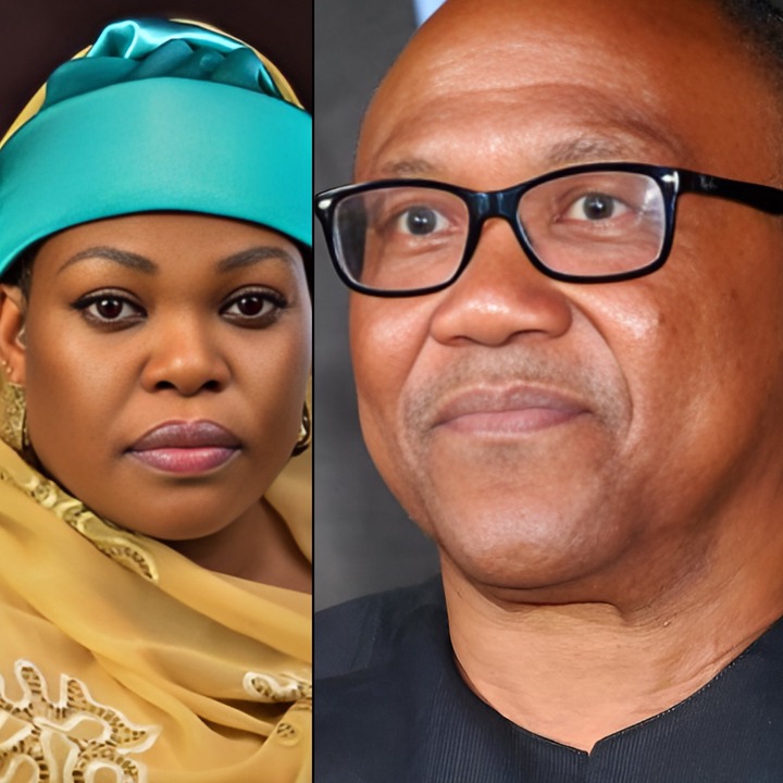 2027: Peter Obi Stands Taller Than Other Politicians — Nana Sani Kazaure Declares