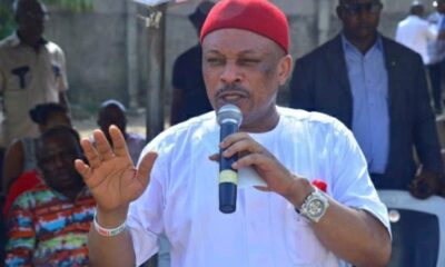 Pdp Crisis: I Sent A Message Because Saraki’s Committee Is Still Meeting – Anyanwu