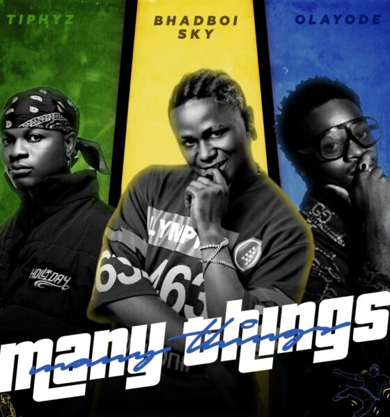 Many things by Bhadboi sky ft Olayode & Tiphyz