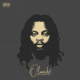 Olamide – 99 ft. Seyi Vibez, Asake, Young Jonn & Daecolm