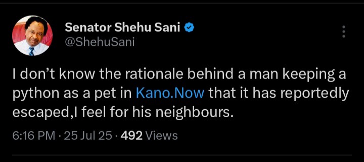 Senator Shehu Sani Reacts After Python Escapes Cage in Kano
